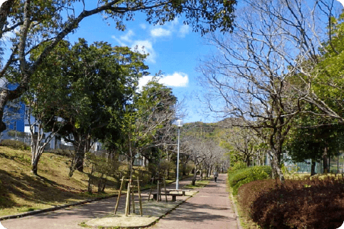公園緑化